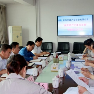 ˾_(ki)(qing)h(yn)o(j)ٰl(f)չ(zhun)(xing)I(lng)(do)ӌ(zhun)}(hu)